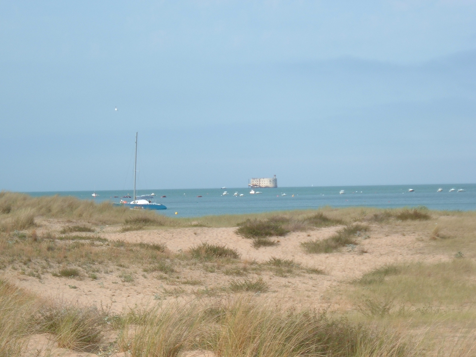 Fonds d'cran Nature Mers - Ocans - Plages 