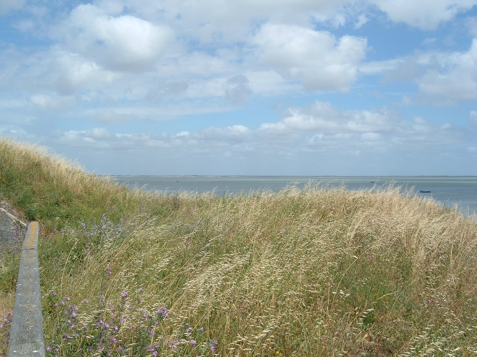 Fonds d'cran Nature Mers - Ocans - Plages 