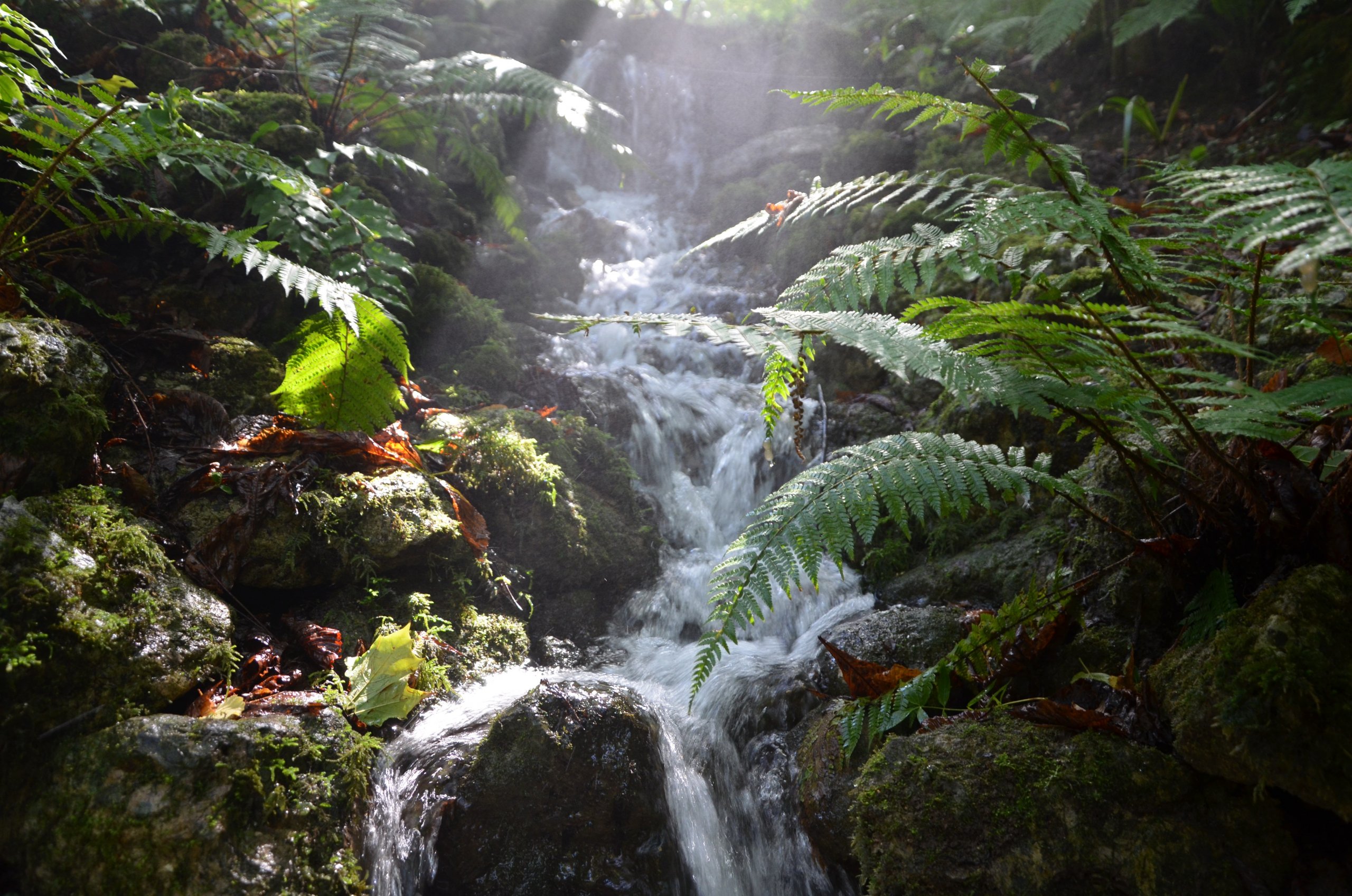 Fonds d'cran Nature Eau 