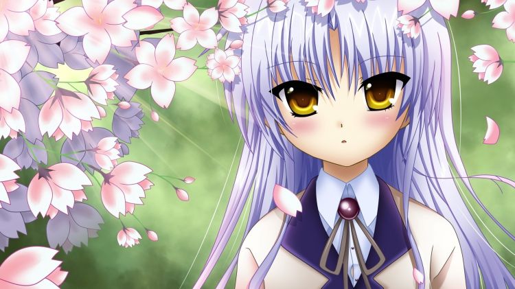 Fonds d'cran Manga Angel Beats Wallpaper N358309