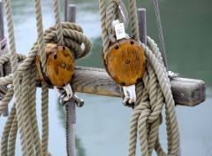  Bateaux Marine