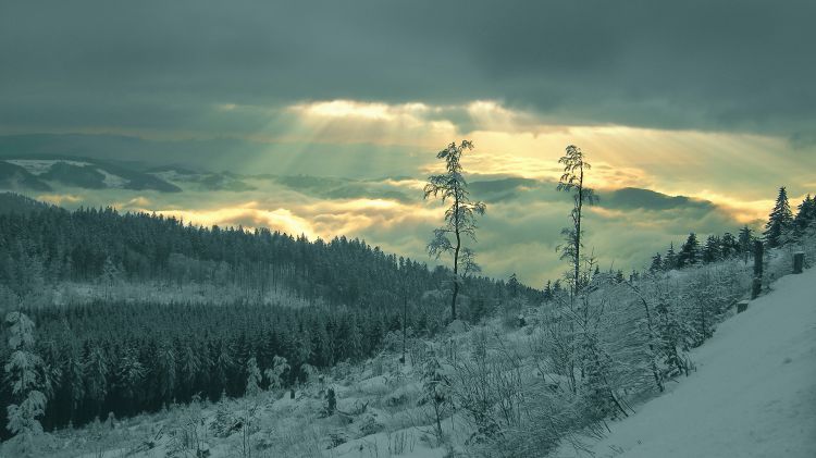 Wallpapers Nature Saisons - Winter Wallpaper N357887