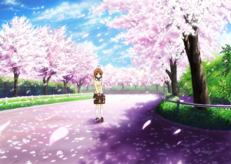 Fonds d'cran Manga Clannad (TV) Wallpaper N358281