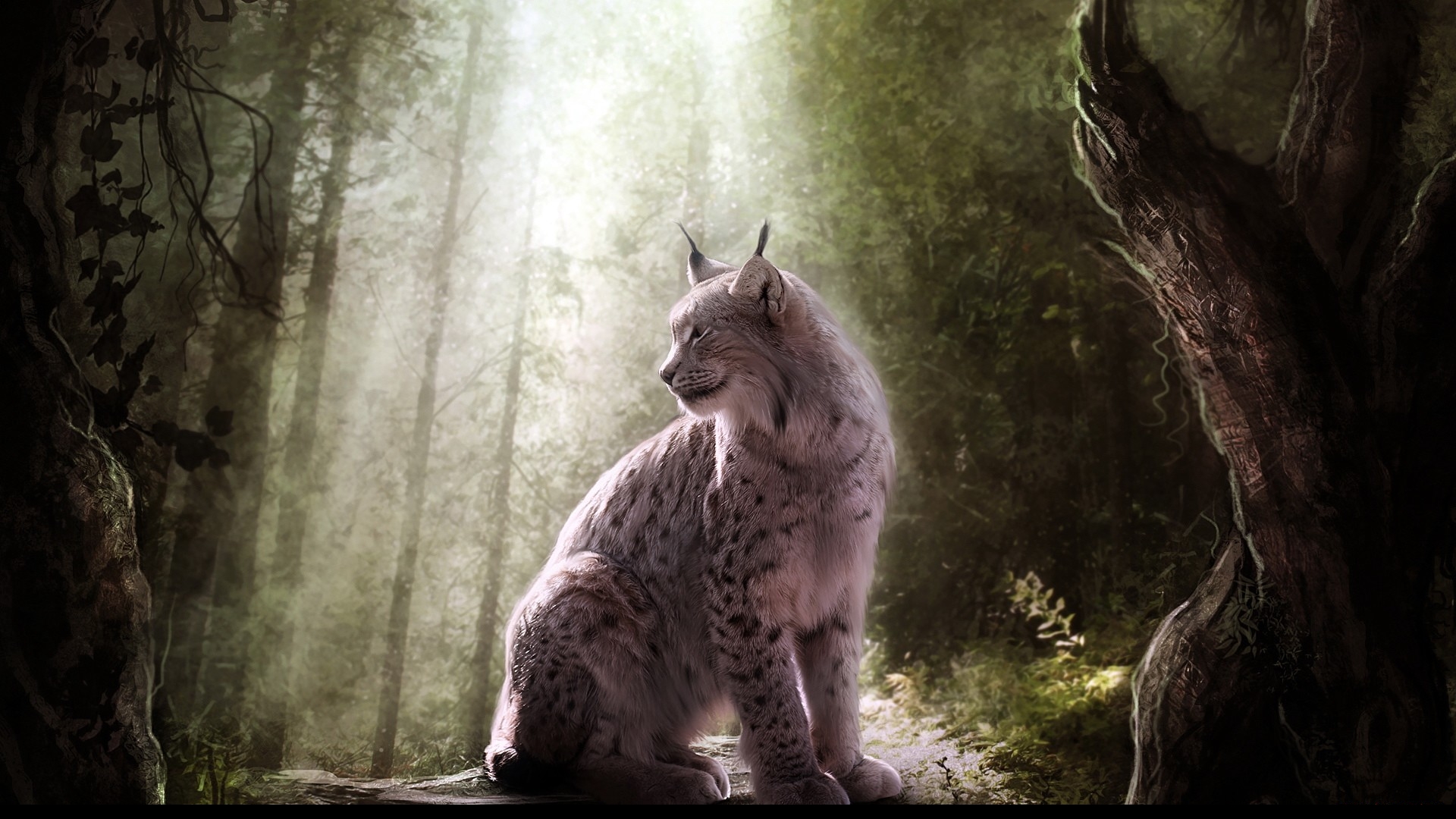 Wallpapers Digital Art Animals 