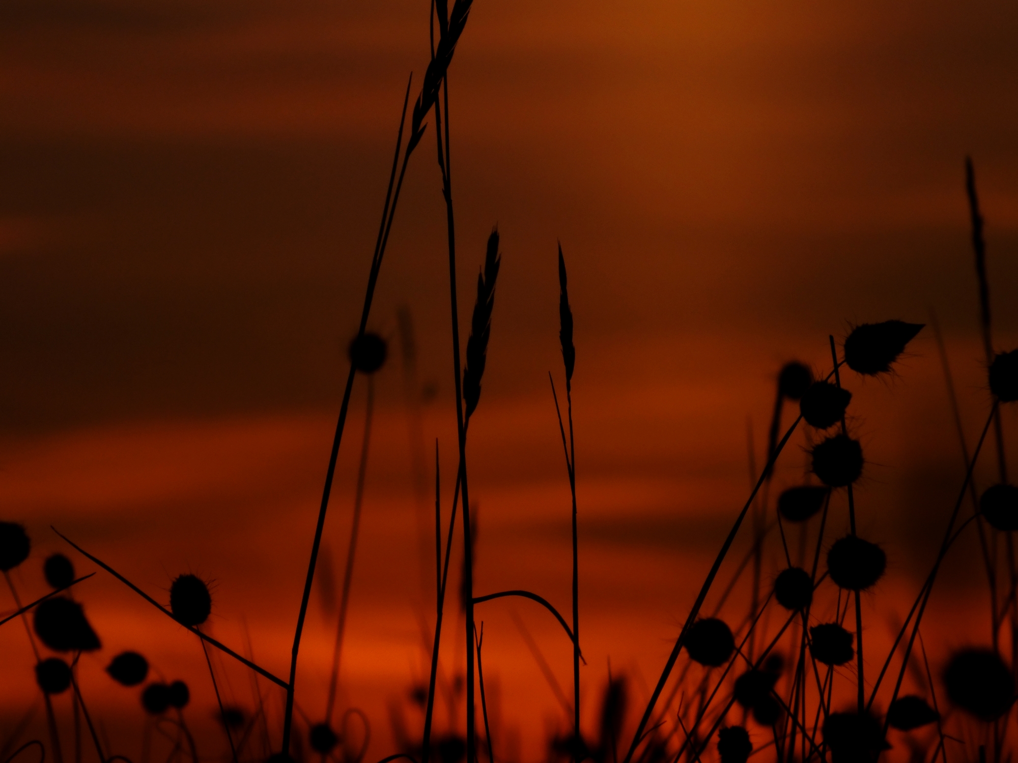 Fonds d'cran Nature Couchers et levers de Soleil Couché de soleil