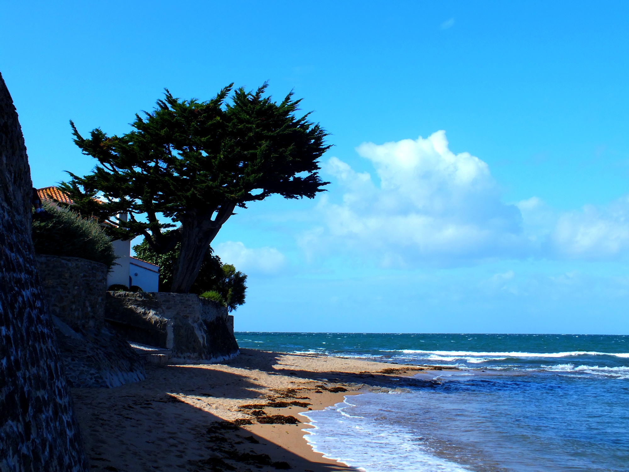 Fonds d'cran Nature Mers - Ocans - Plages plage