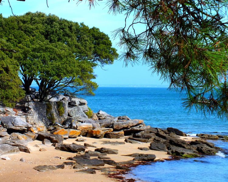 Fonds d'cran Nature Mers - Ocans - Plages plage