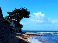  Nature plage