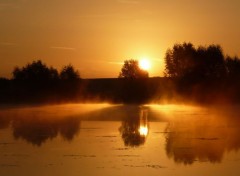  Nature Brume du petit matin