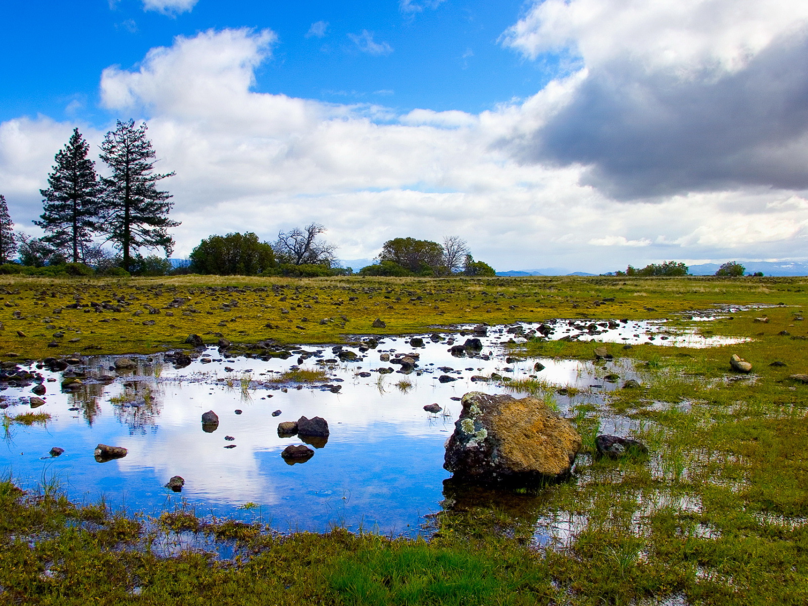 Fonds d'cran Nature Champs - Prairies 