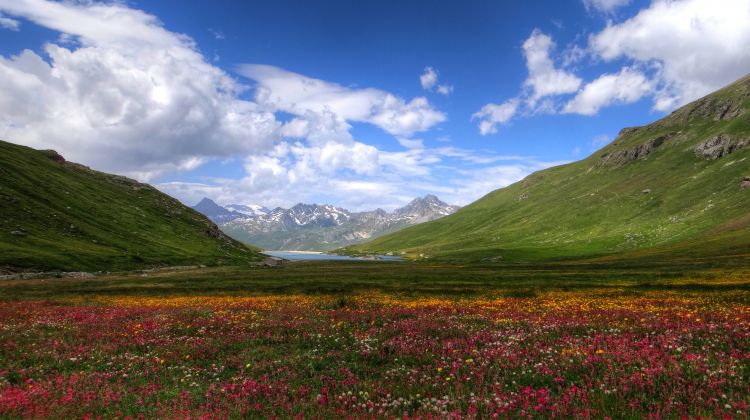 Fonds d'cran Nature Montagnes Paysage des alpes - Près de Tignes