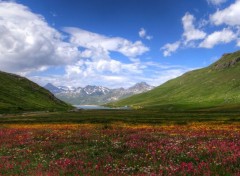  Nature Paysage des alpes - Près de Tignes