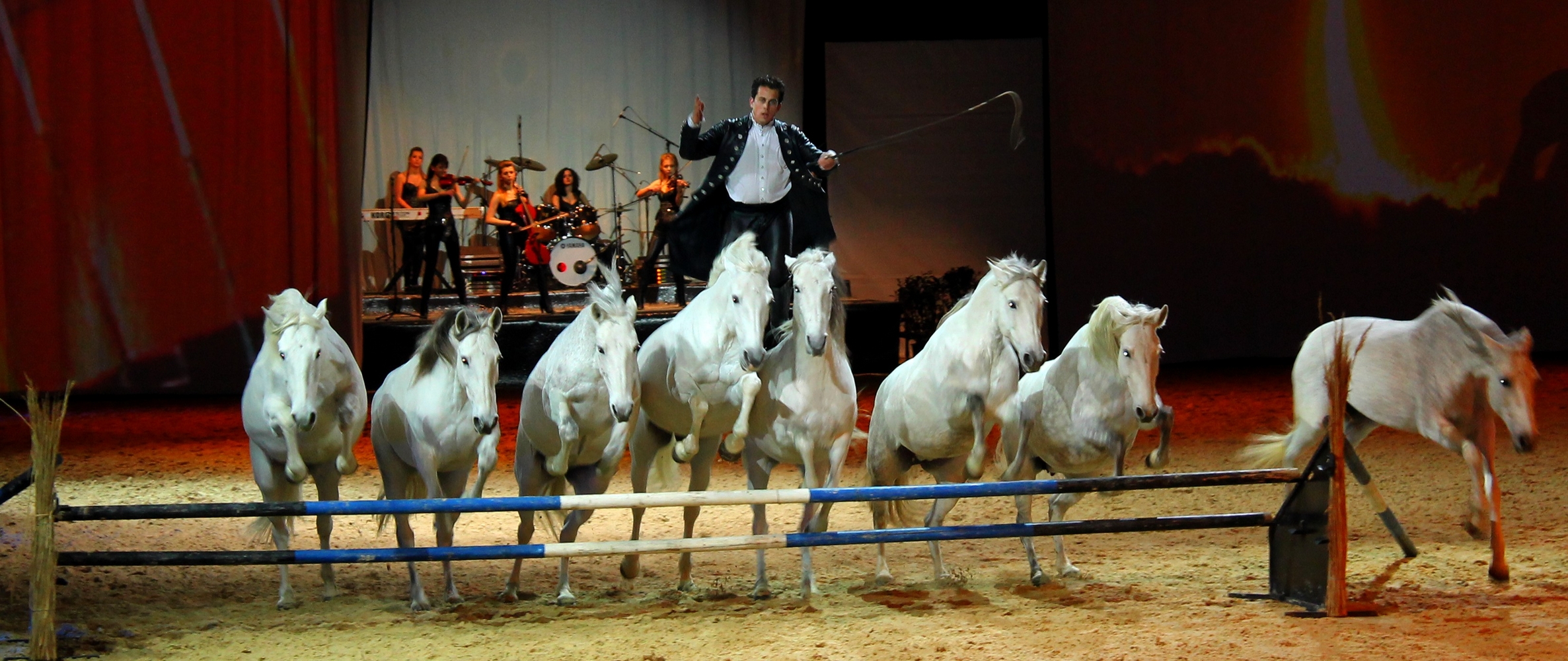 Fonds d'cran Animaux Chevaux Le monde du cheval