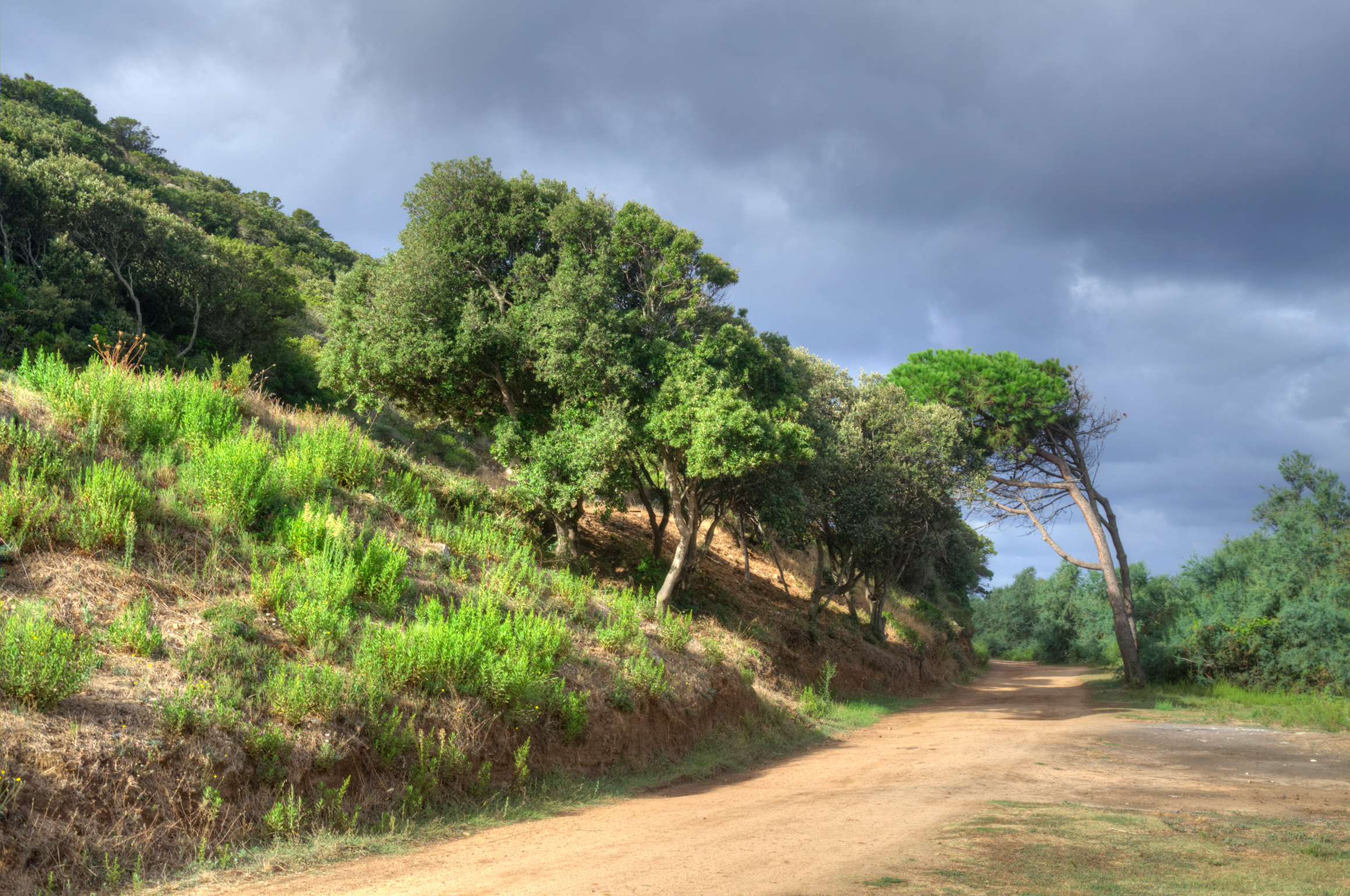 Wallpapers Trips : Europ France > Corsica Corse