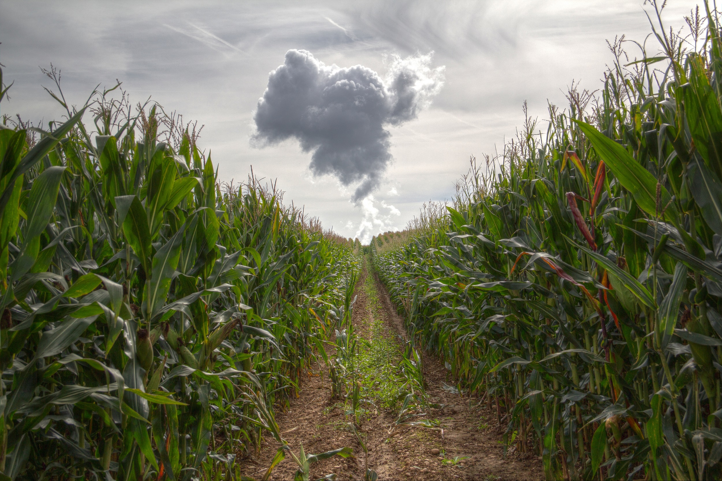 Fonds d'cran Nature Campagne paysages en hdr