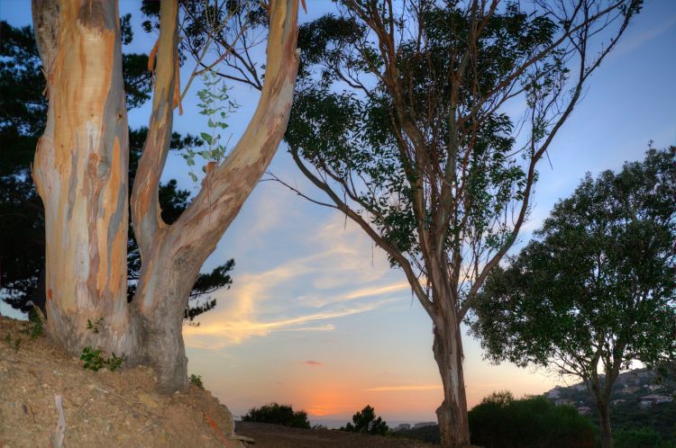 Wallpapers Nature Sunsets and sunrises Coucher de Soleil depuis Tizzano, Sartène, Corse du Sud