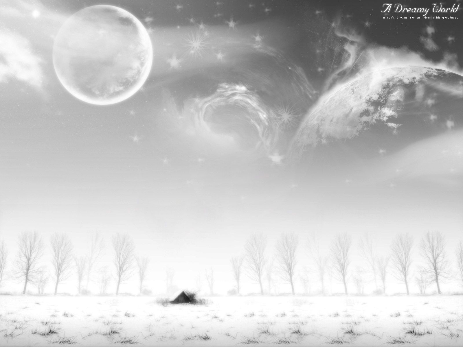 Wallpapers Digital Art Nature - 4 Seasons 