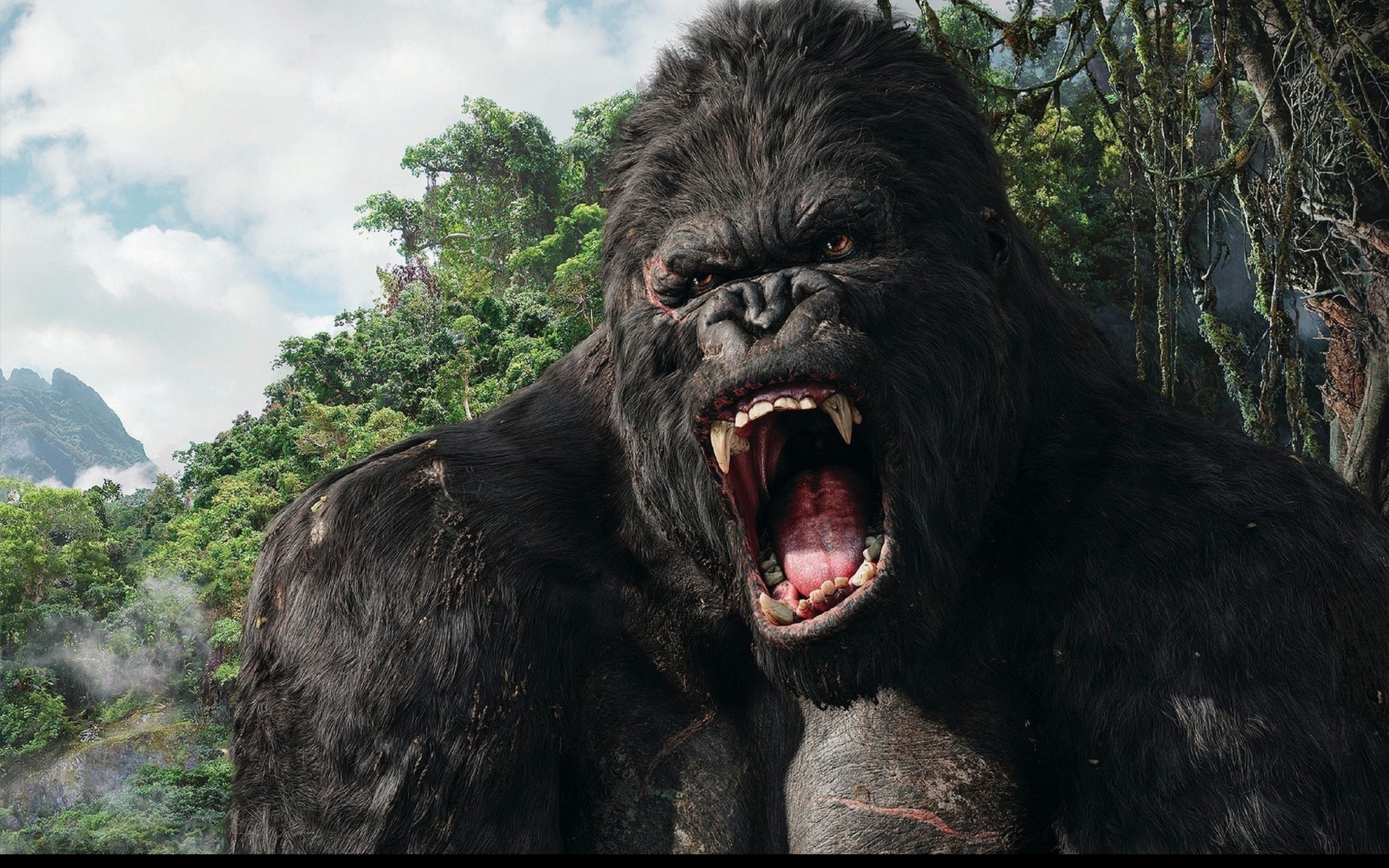 Wallpapers Movies King Kong 