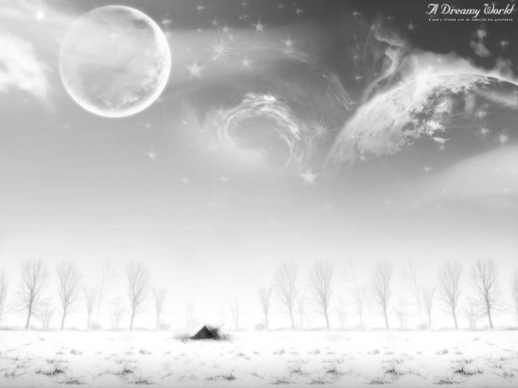 Wallpapers Digital Art Nature - 4 Seasons Wallpaper N359252