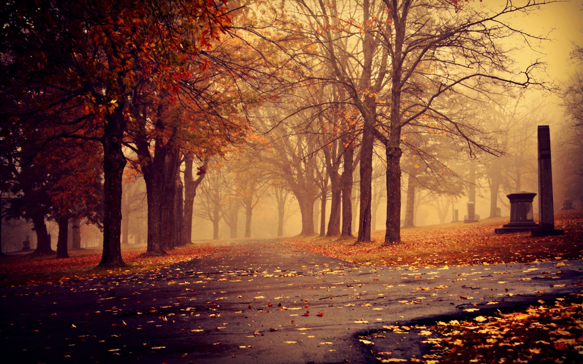 Wallpapers Nature Seasons - Fall 