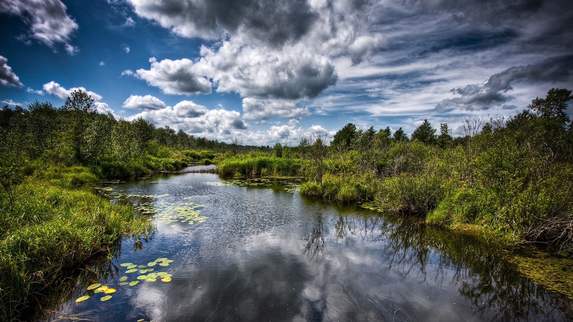 Wallpapers Nature Swamps 