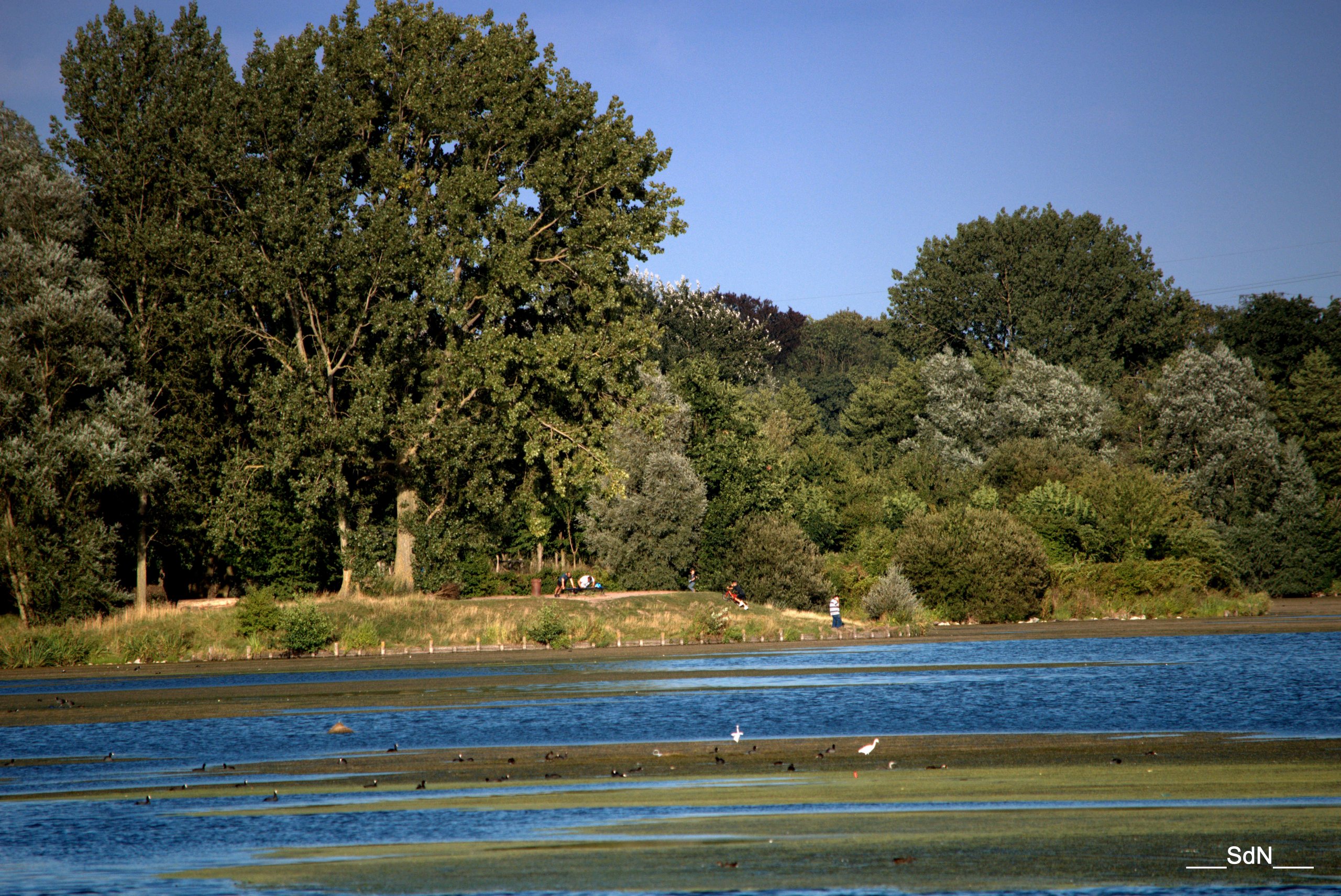 Fonds d'cran Nature Lacs - Etangs LAC V.D' ASCQ