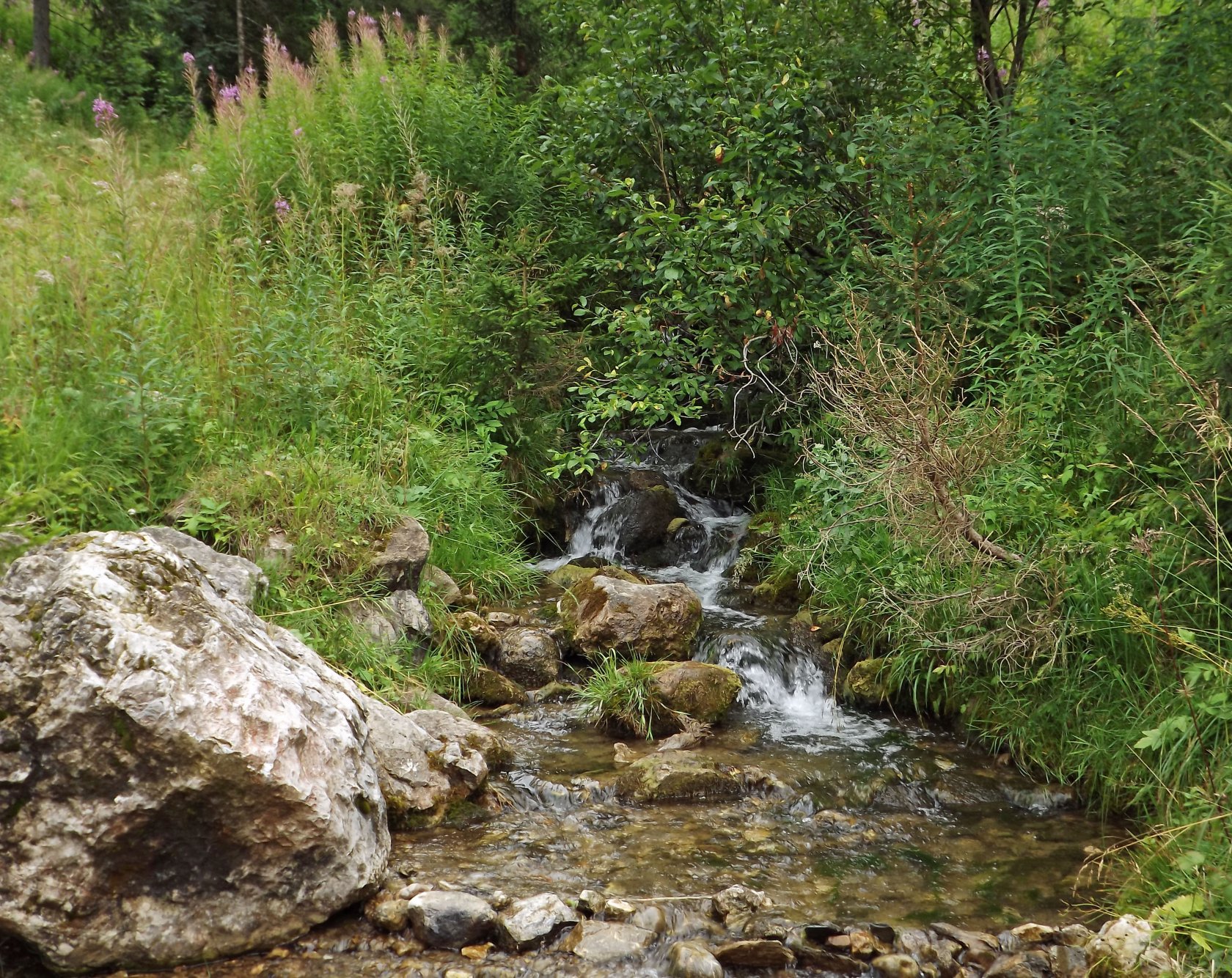 Fonds d'cran Nature Fleuves - Rivires - Torrents ruisseau