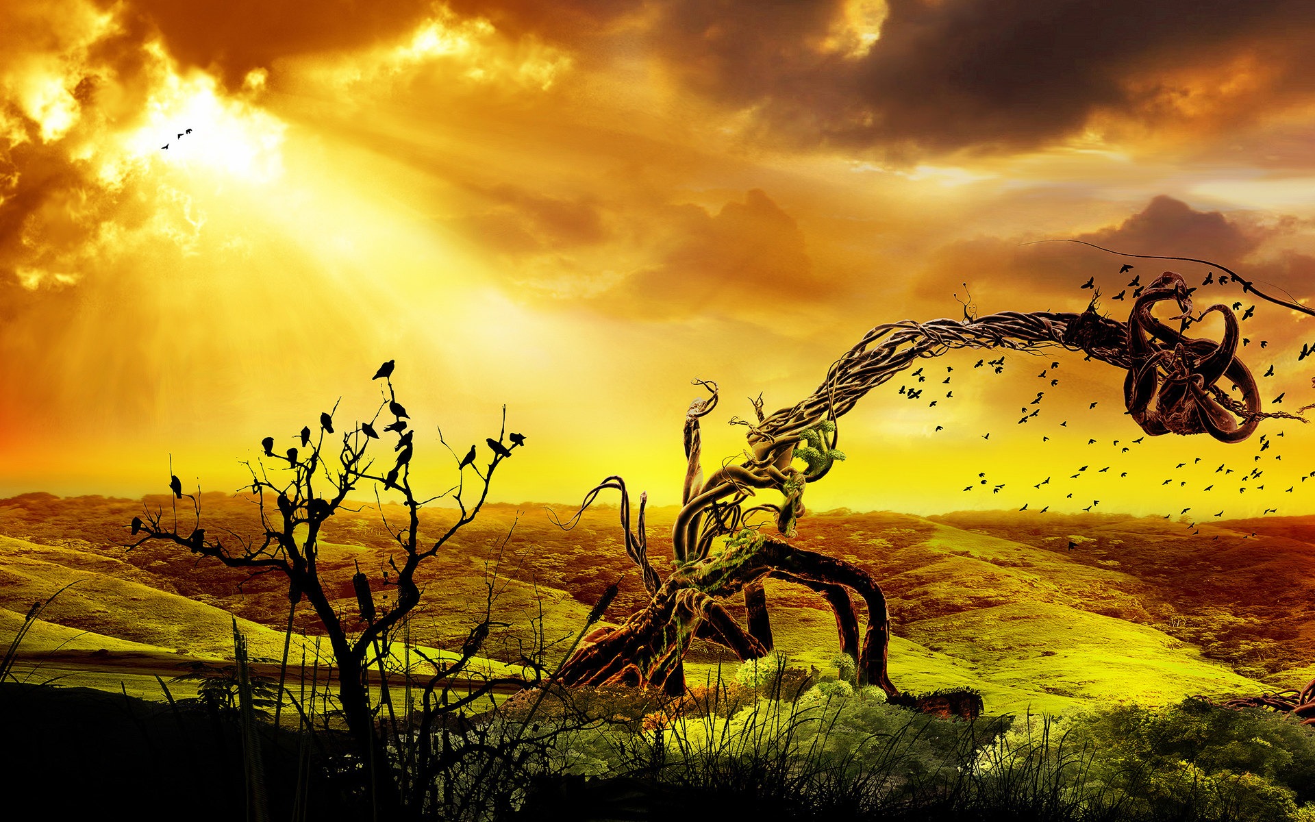 Wallpapers Digital Art Nature - Landscapes 