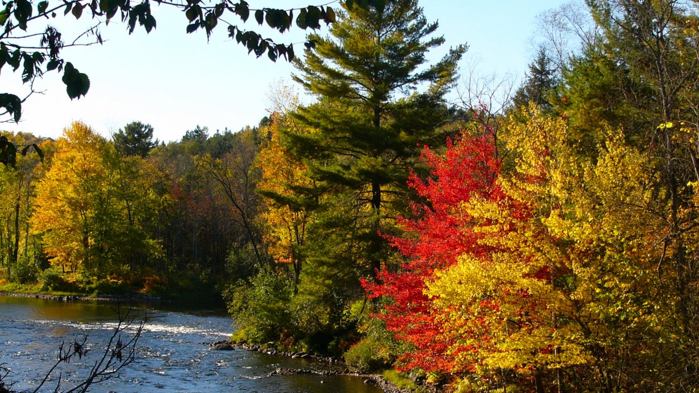 Wallpapers Nature Rivers - Torrents Rivire Rouge - Plaisance Qc. Canada