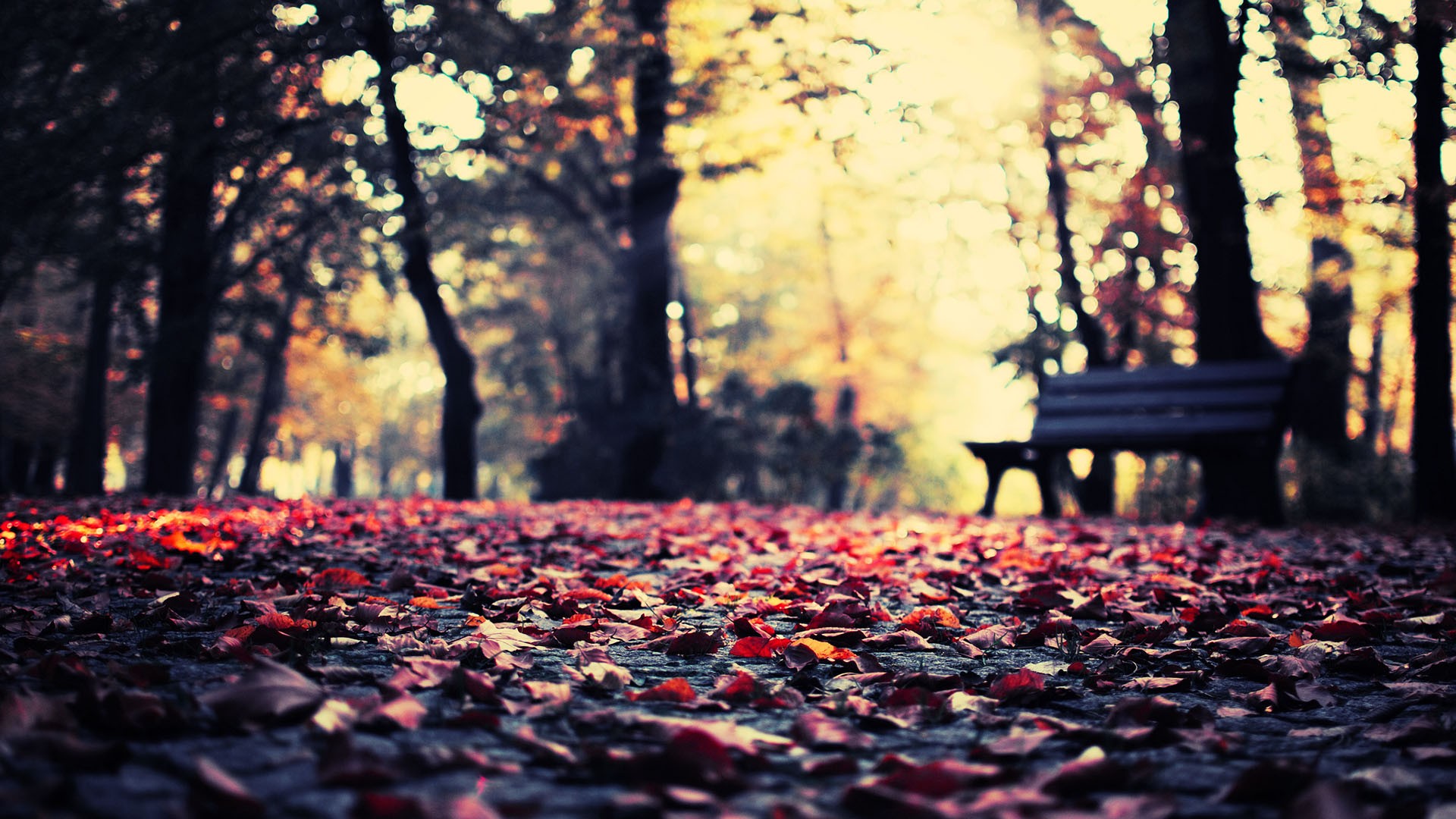 Wallpapers Nature Seasons - Fall 