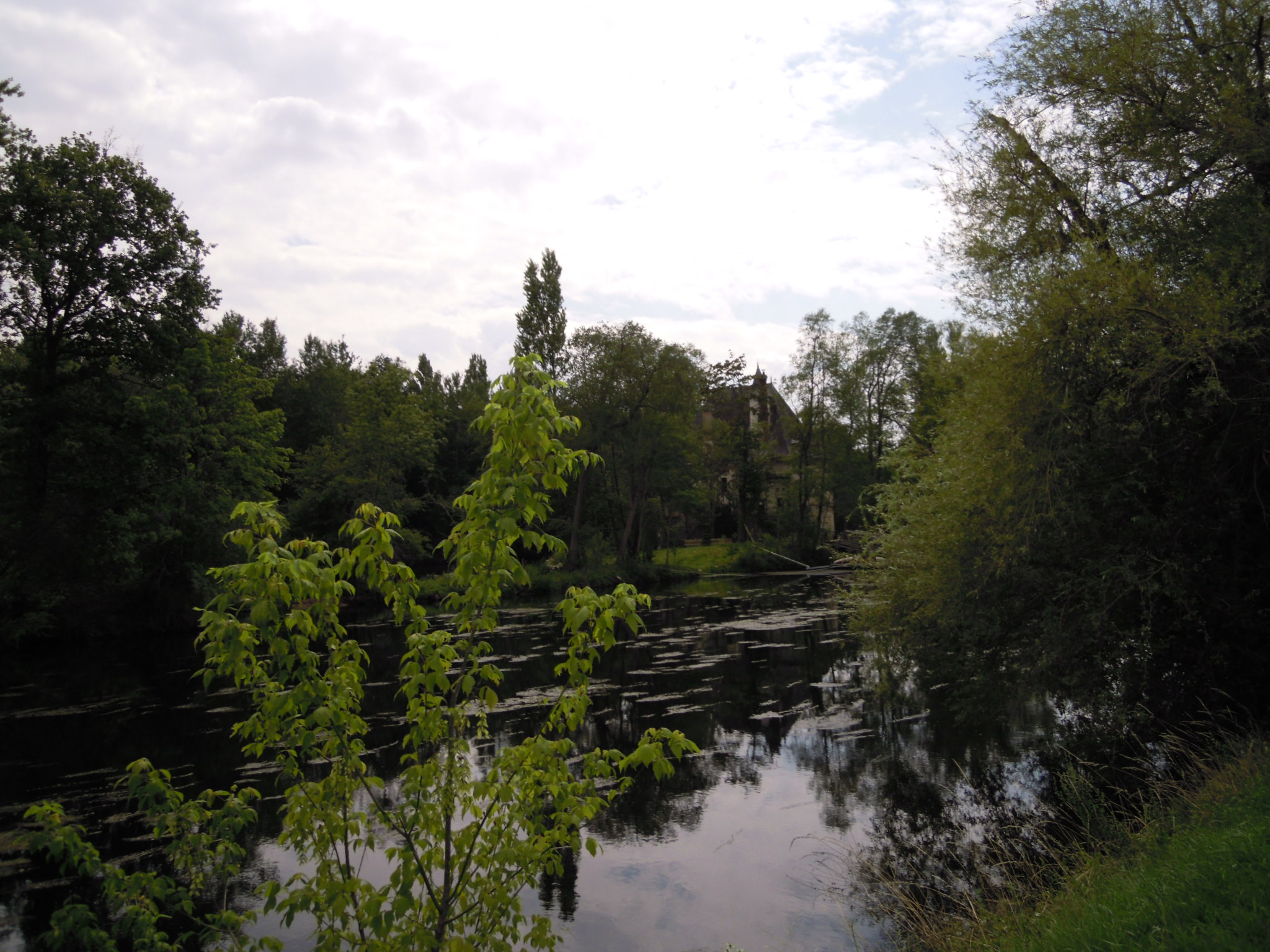 Fonds d'cran Nature Fleuves - Rivires - Torrents 