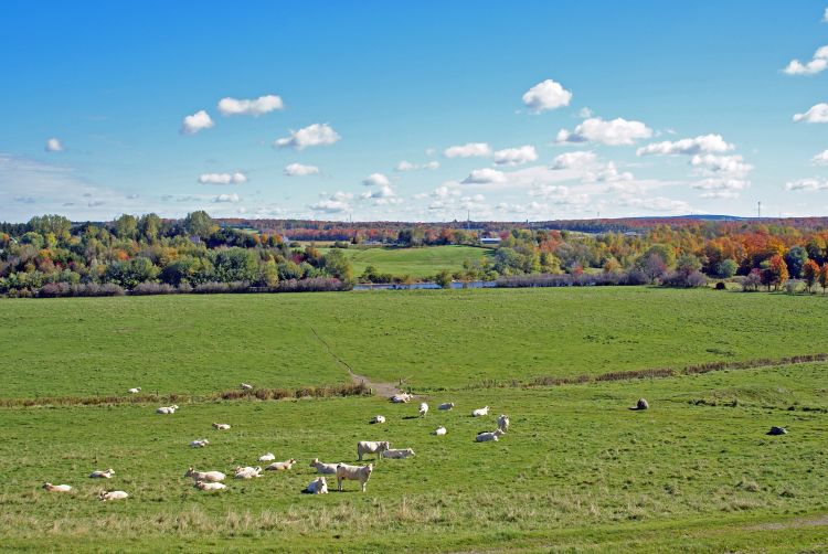 Fonds d'cran Nature Campagne DERNIER BEAUX JOURS