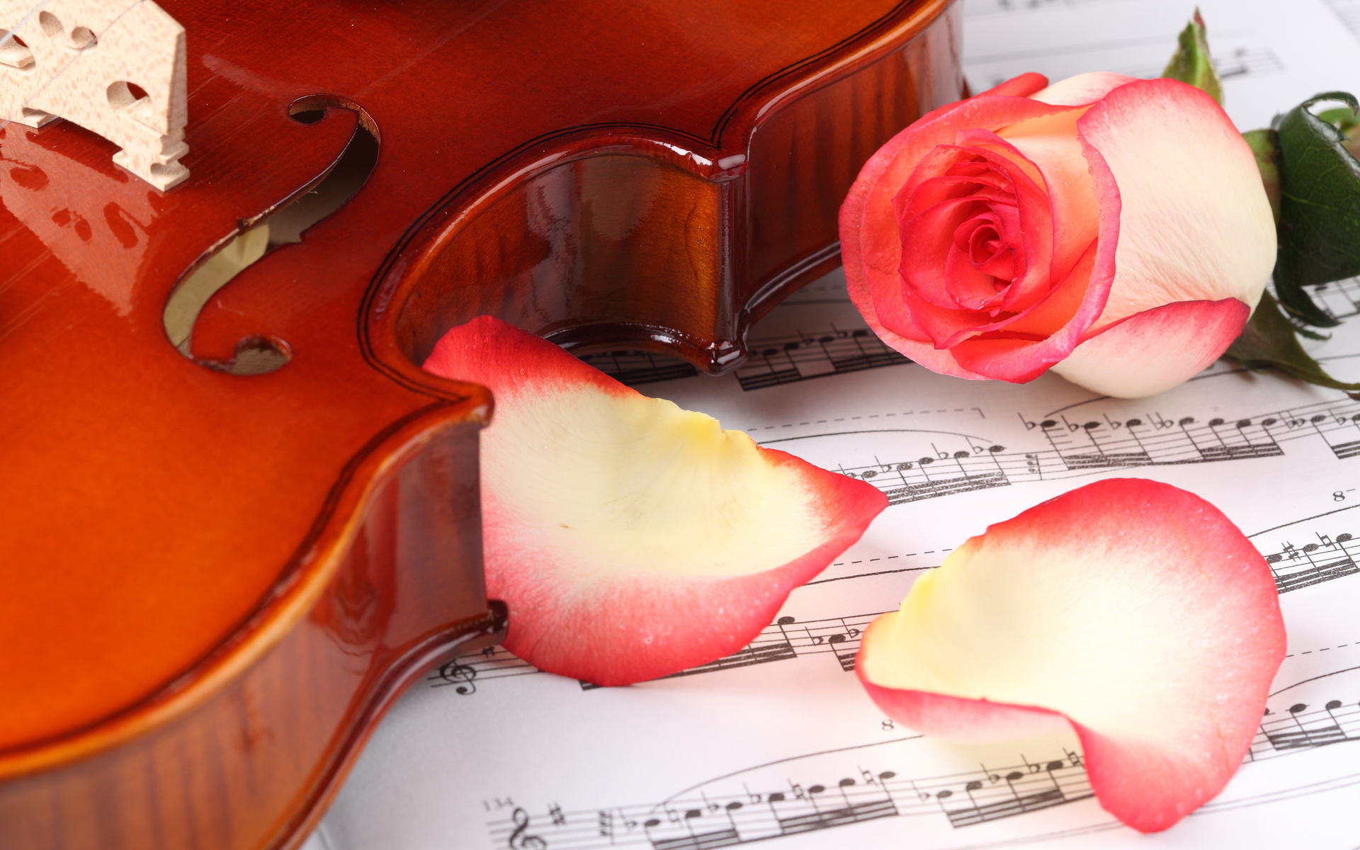 Wallpapers Music Instruments - Violins 