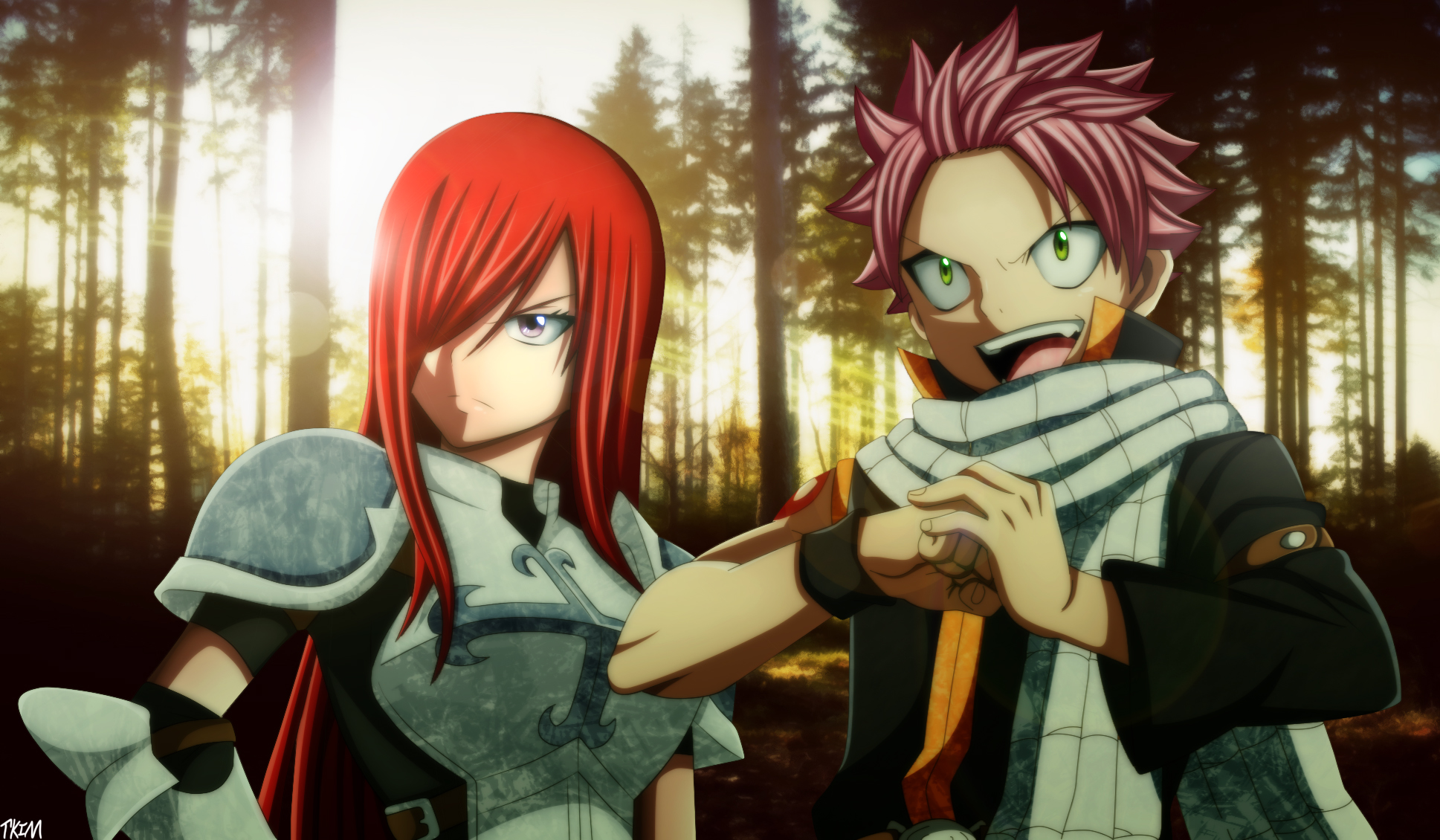 Wallpapers Manga Fairy Tail 