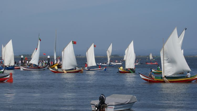 Fonds d'cran Bateaux Voiliers Wallpaper N360056