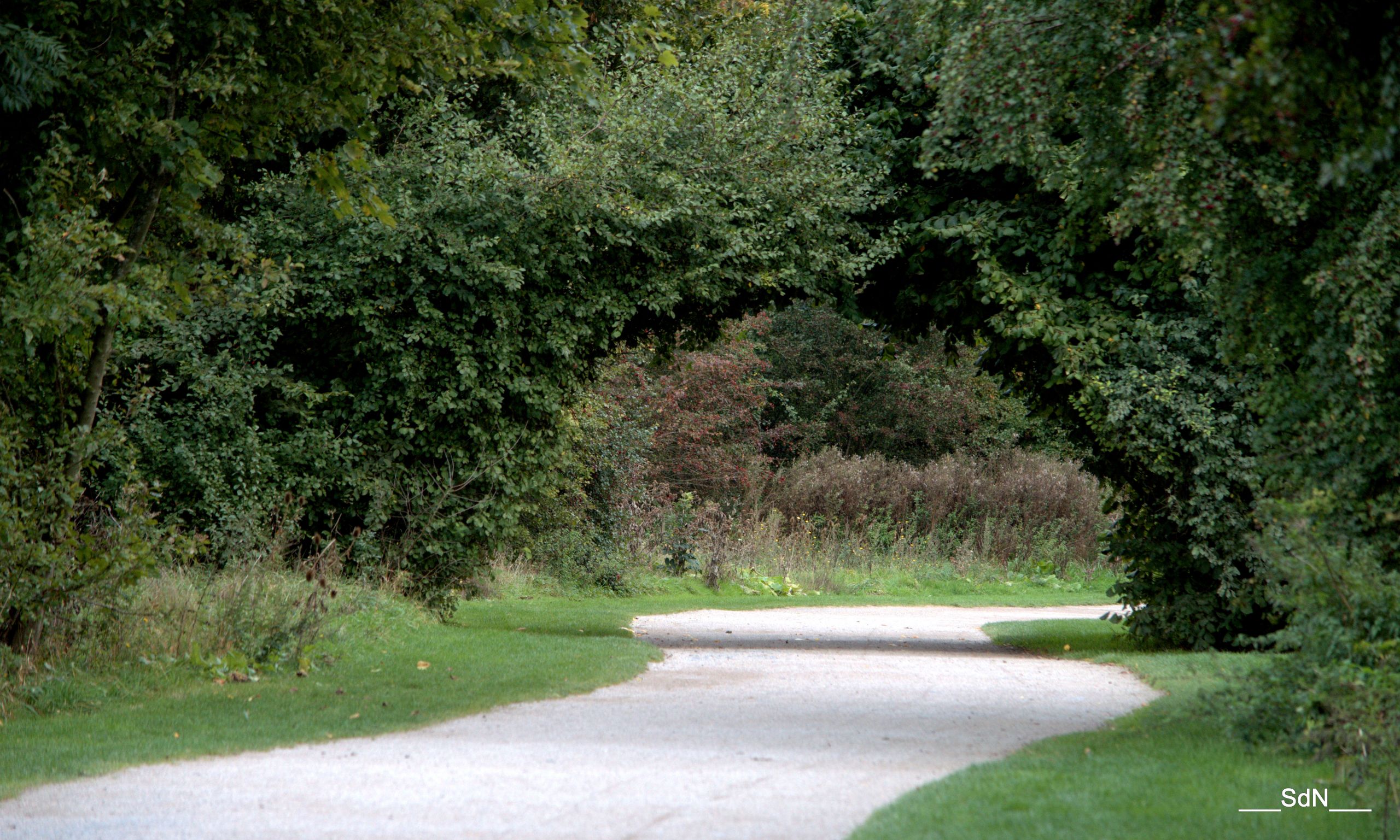 Wallpapers Nature Paths LES BORDS DU LAC