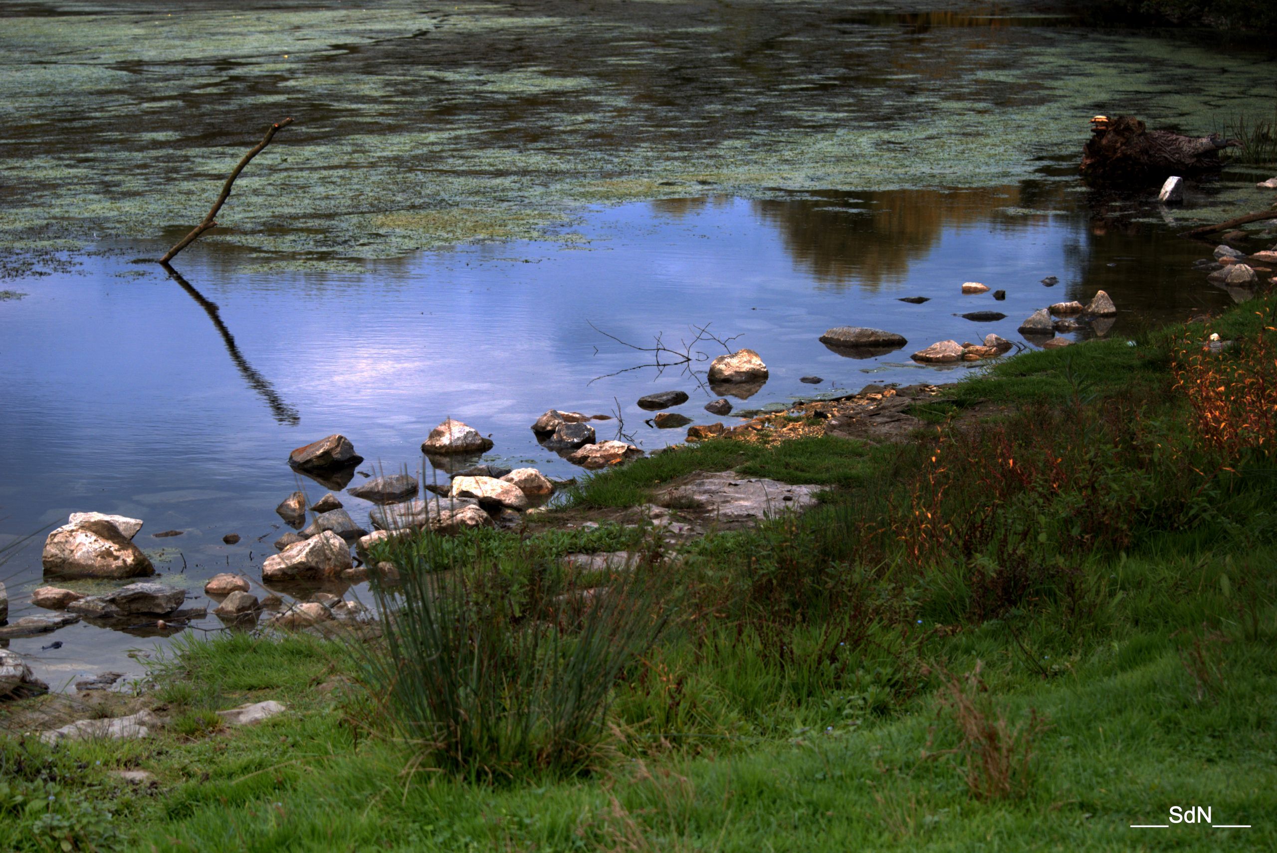 Fonds d'cran Nature Lacs - Etangs LES BORDS DU LAC