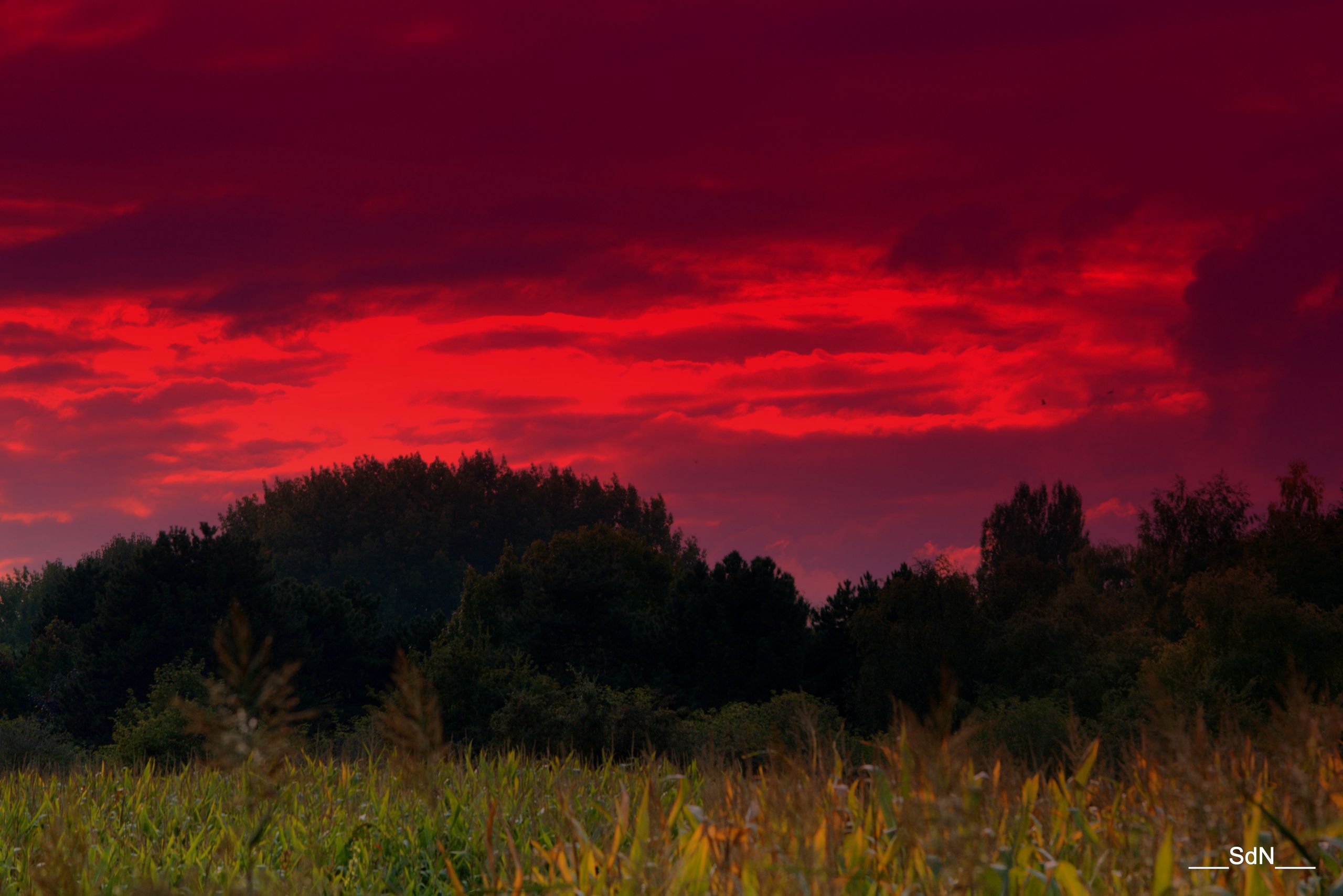 Wallpapers Nature Sunsets and sunrises LES BORDS DU LAC