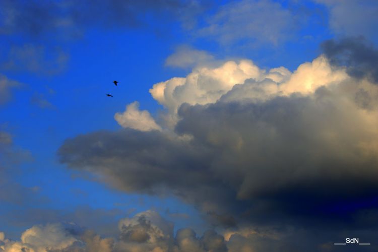 Fonds d'cran Nature Ciel - Nuages LES BORDS DU LAC