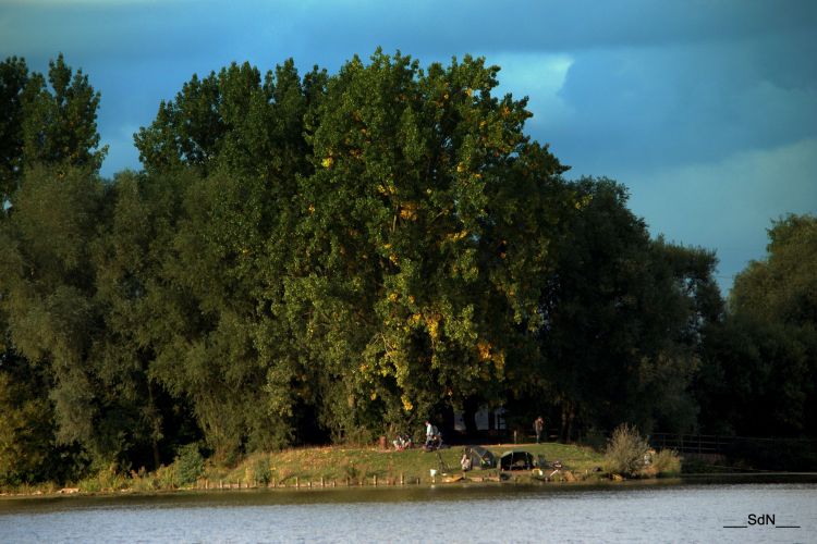 Fonds d'cran Nature Lacs - Etangs LES BORDS DU LAC