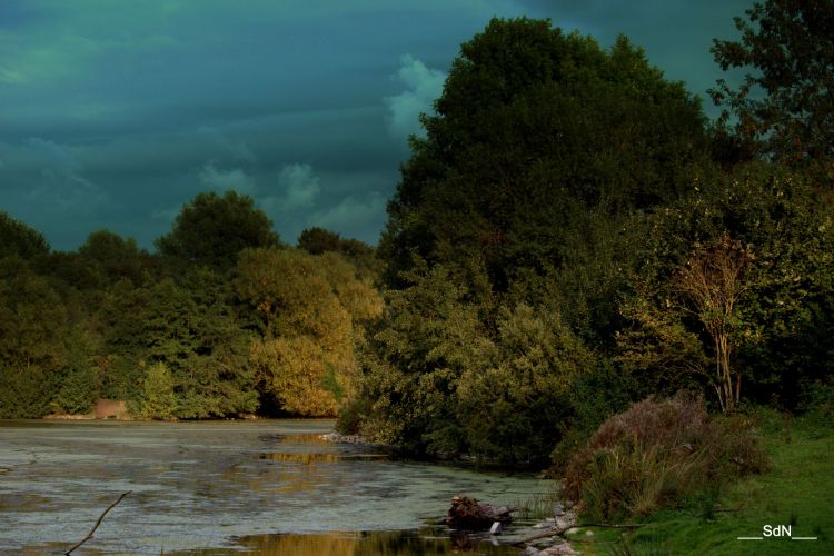 Fonds d'cran Nature Lacs - Etangs LES BORDS DU LAC