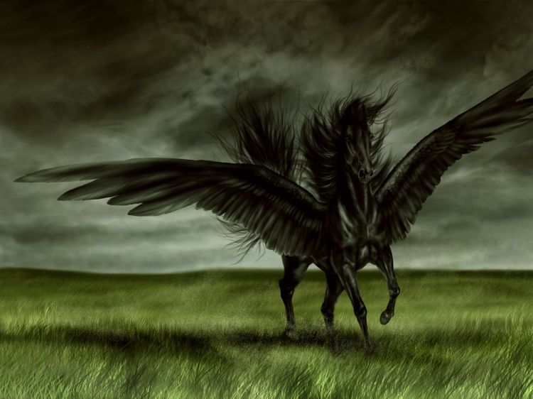 Wallpapers Fantasy and Science Fiction Creatures : Unicorns - Pegasus pgase noir