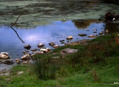  Nature LES BORDS DU LAC