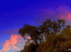  Nature LES BORDS DU LAC