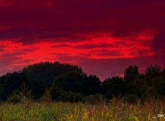  Nature LES BORDS DU LAC