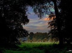  Nature LES BORDS DU LAC