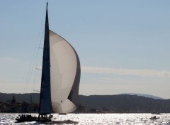  Bateaux Voiles de Saint Tropez