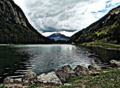  Nature lac de montriond 