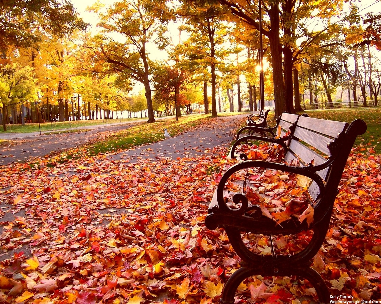 Wallpapers Nature Seasons - Fall 