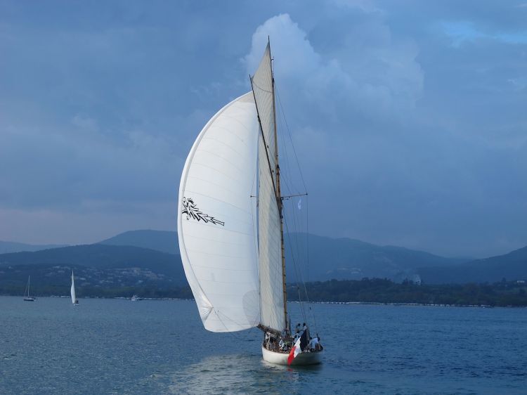 Fonds d'cran Bateaux Voiliers Voiles de Saint Tropez